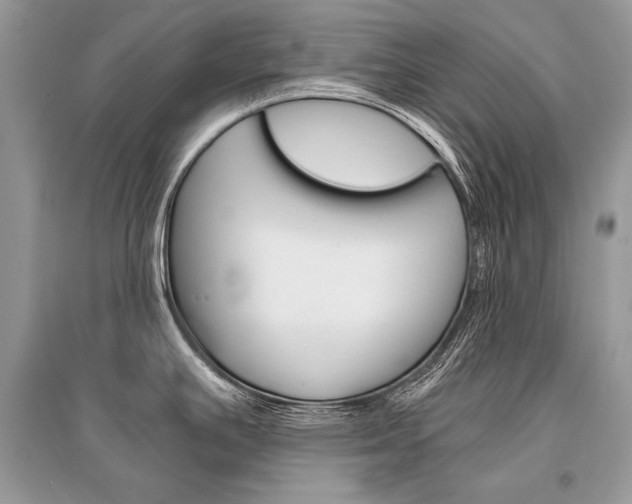 X0000096381391200801240952