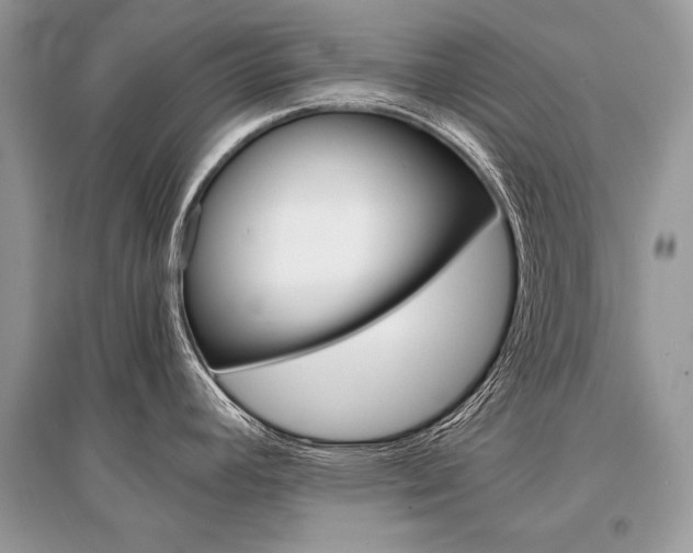 X0000096381392200801240952