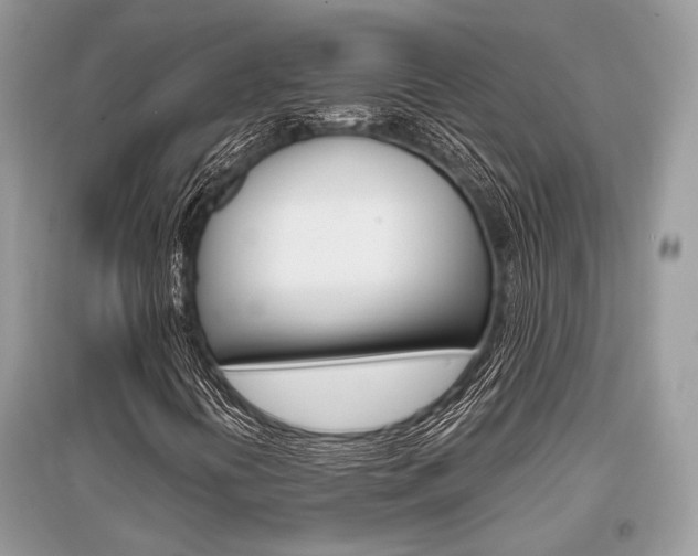 X0000096381394200801240952