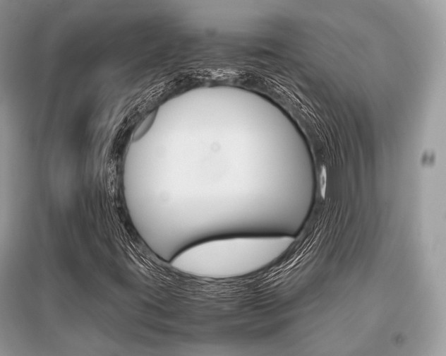 X0000096381395200801240952