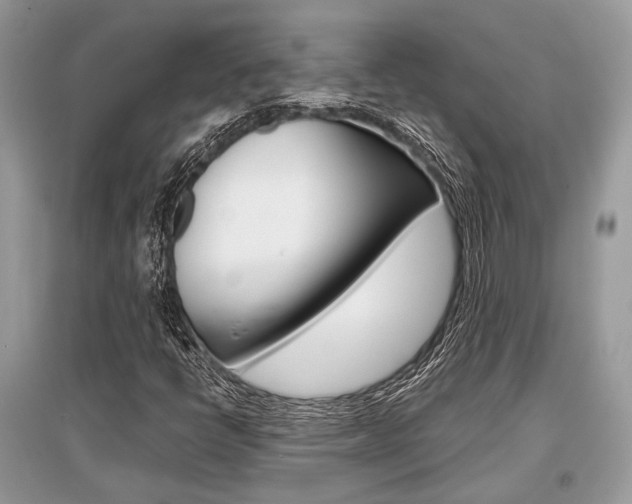 X0000096381398200801240952