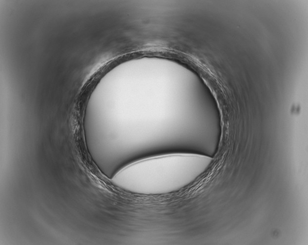 X0000096381400200801240952