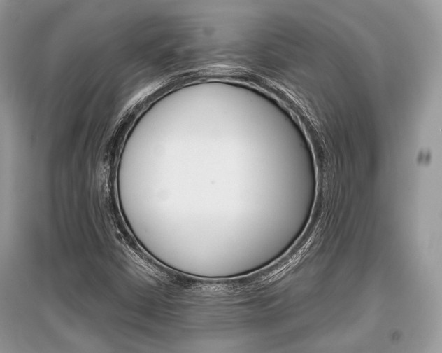 X0000096381402200801240952