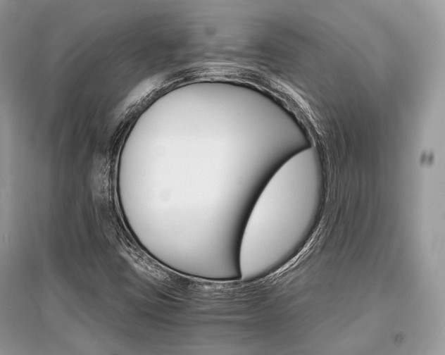 X0000096381403200801240952