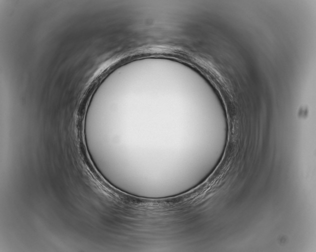 X0000096381404200801240952