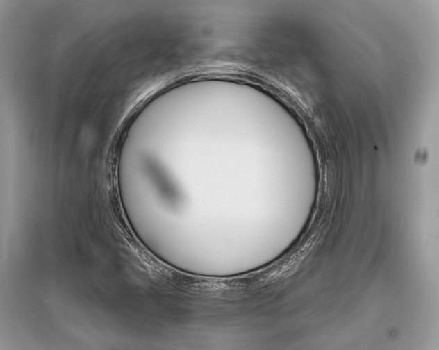 X0000096381405200801240952