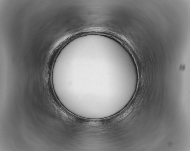 X0000096381406200801240952