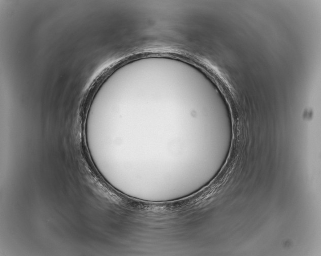X0000096381408200801240952