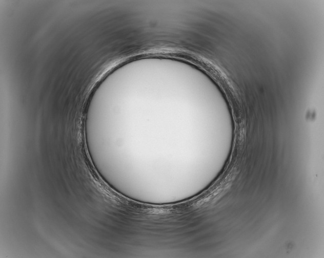 X0000096381409200801240952