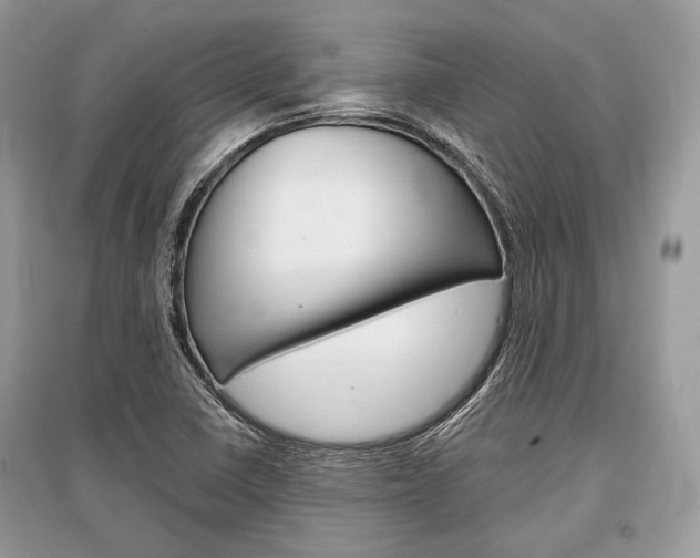 X0000096381410200801240952