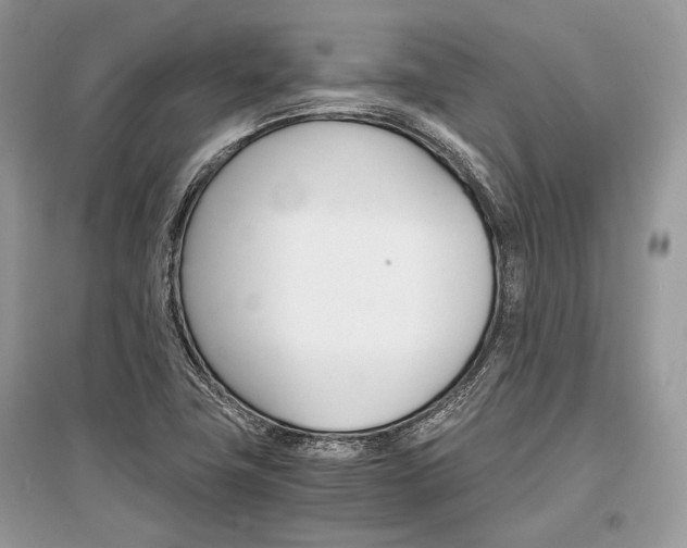 X0000096381411200801240952