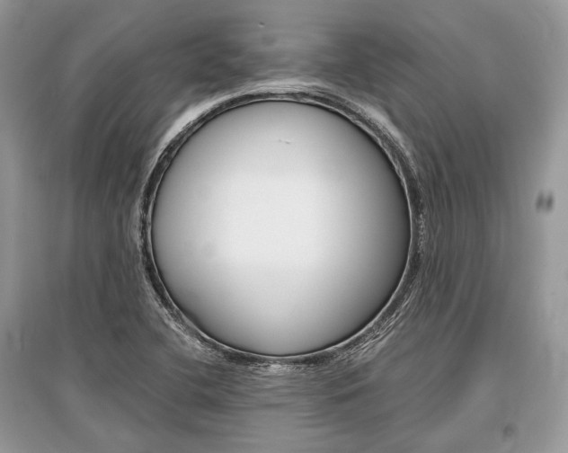 X0000096381412200801240952