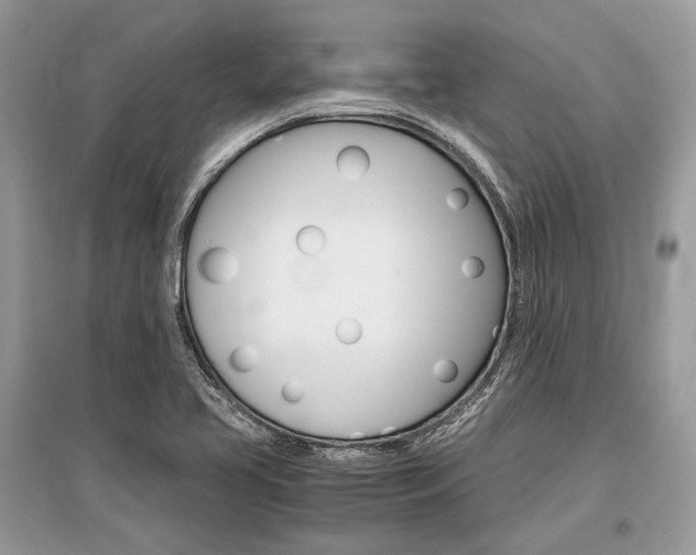 X0000096381413200801240952