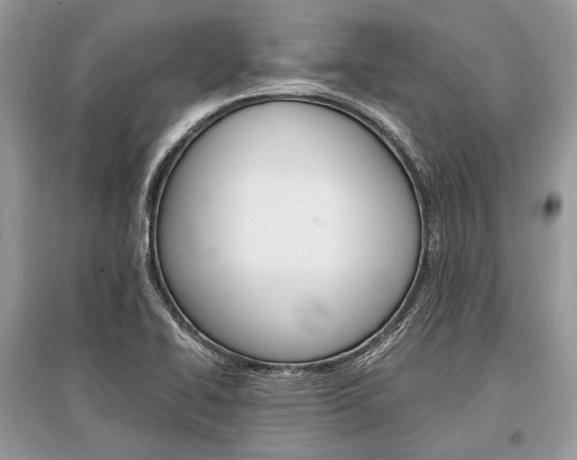 X0000096381414200801240952