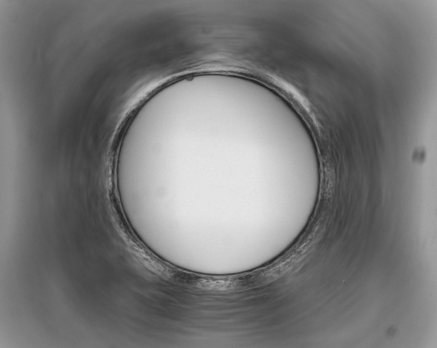 X0000096381415200801240952
