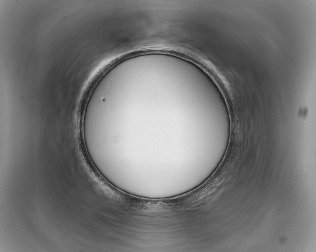 X0000096381416200801240952