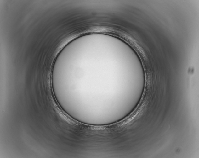 X0000096381417200801240952