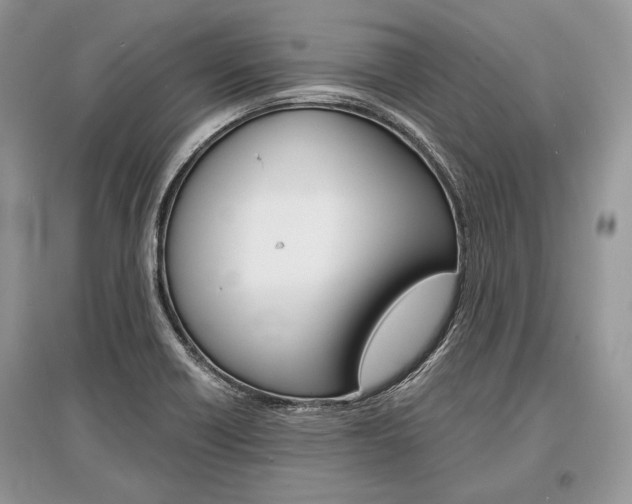 X0000096381418200801240952