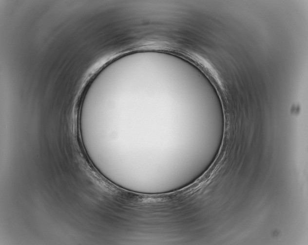 X0000096381419200801240952