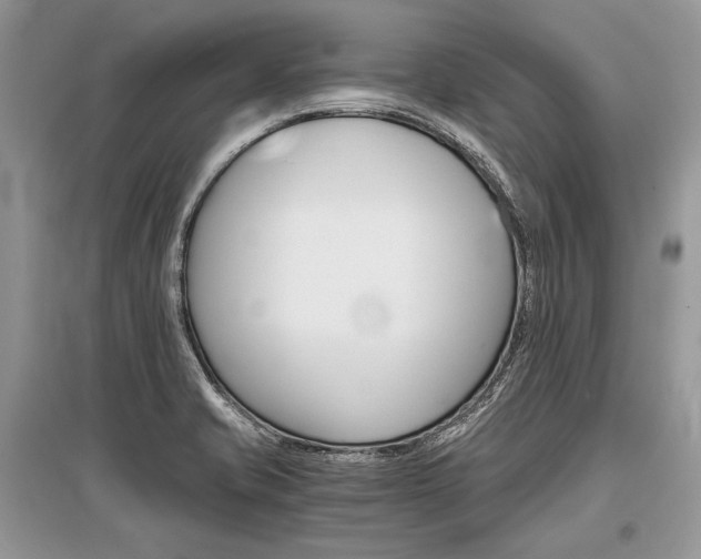 X0000096381421200801240952