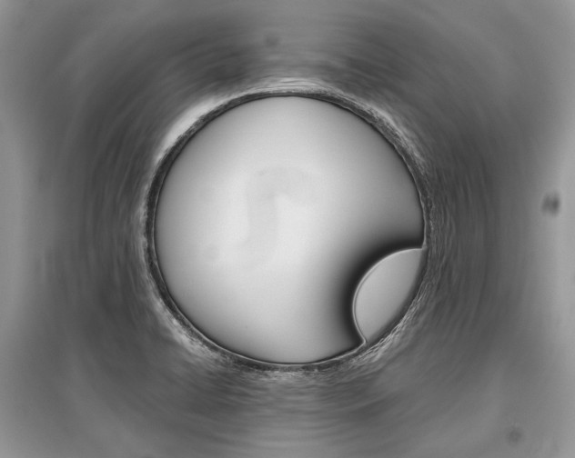X0000096381422200801240952