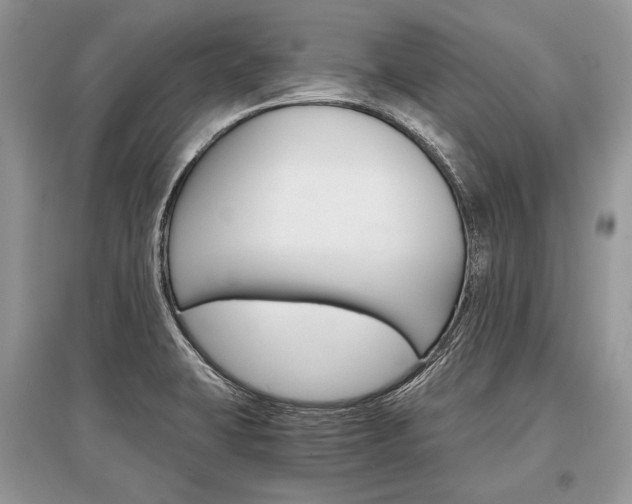 X0000096381423200801240952