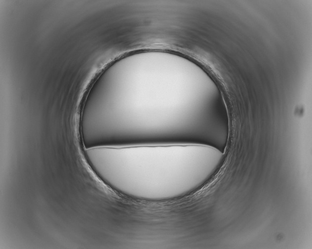 X0000096381424200801240952