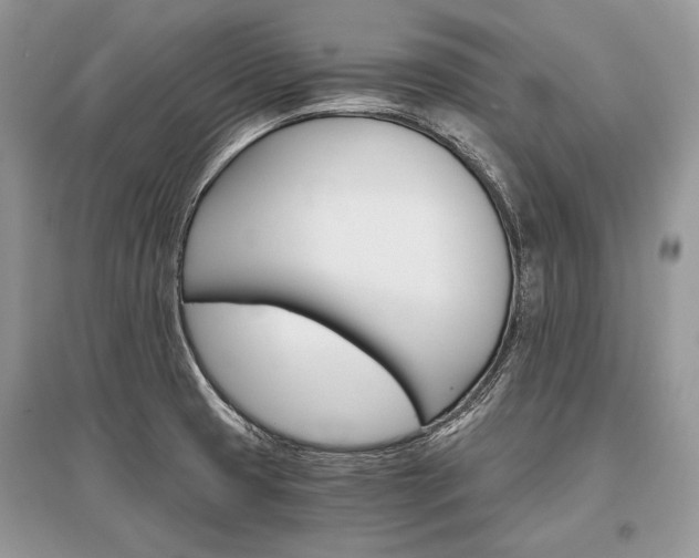 X0000096381425200801240952