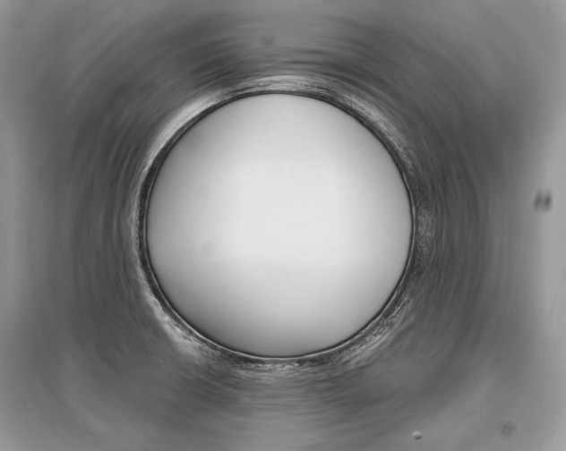 X0000096381426200801240952