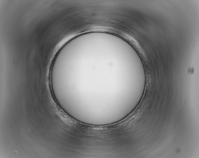 X0000096381427200801240952