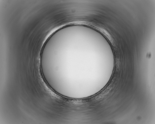 X0000096381428200801240952