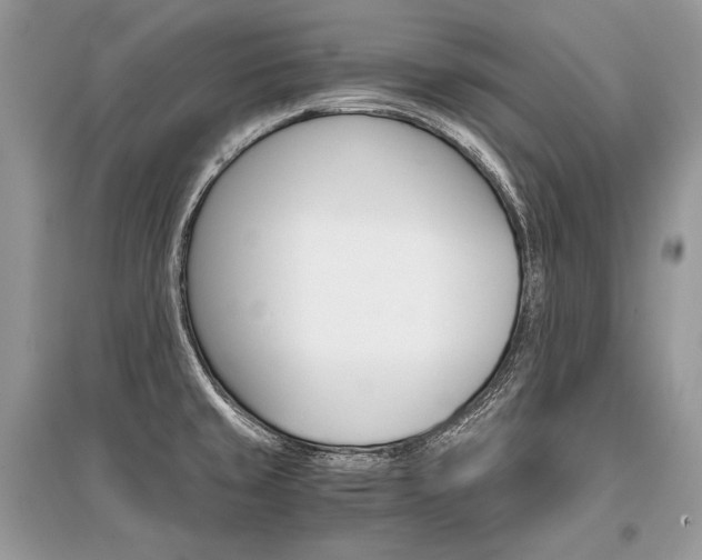 X0000096381429200801240952