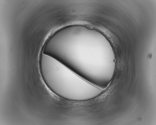 X0000096381430200801240952