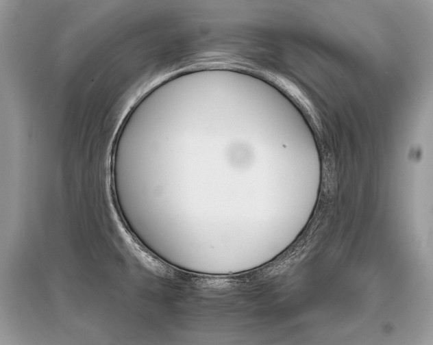 X0000096381431200801240952