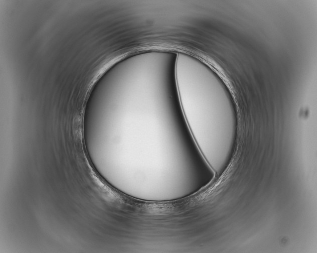 X0000096381433200801240952