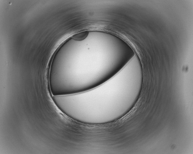 X0000096381434200801240952