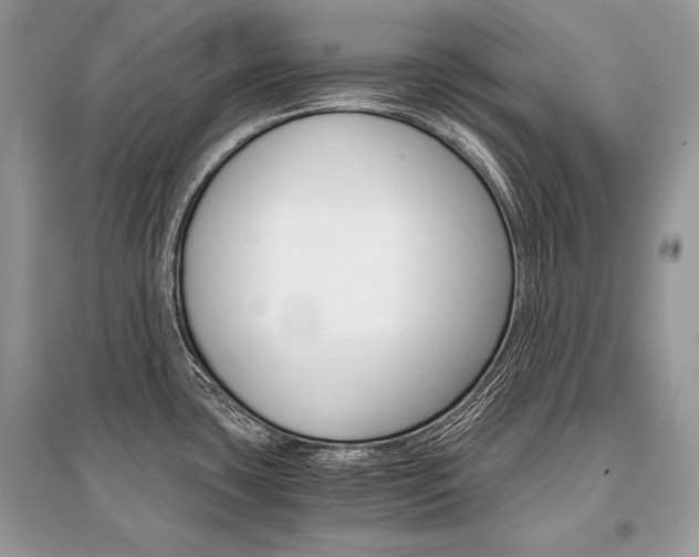 X0000096381435200801240952