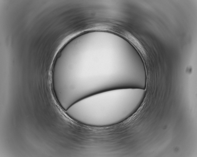 X0000096381436200801240952