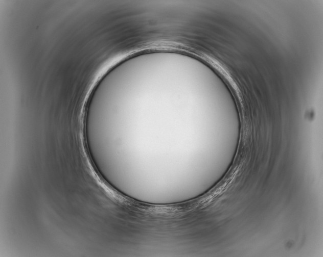 X0000096381437200801240952