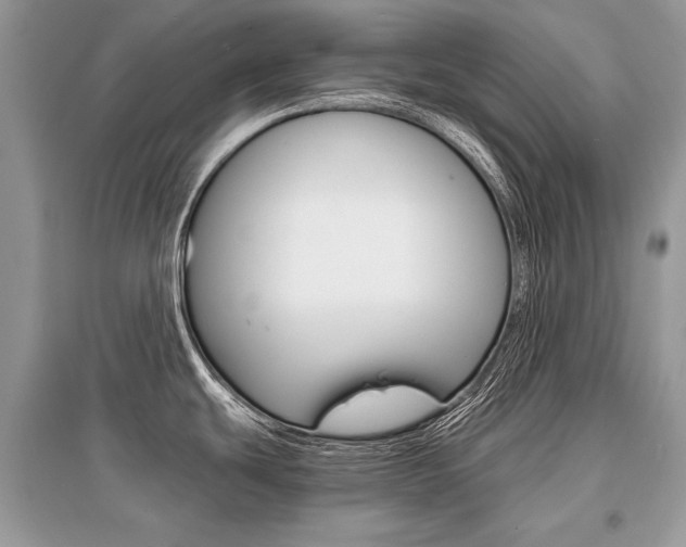 X0000096381439200801240952