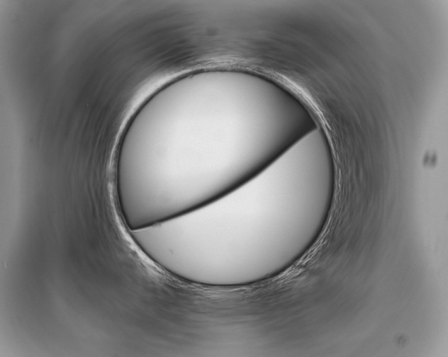 X0000096381440200801240952