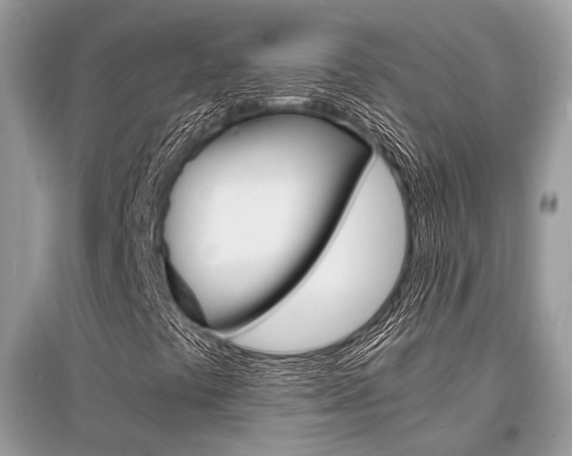 X0000096381441200801240952