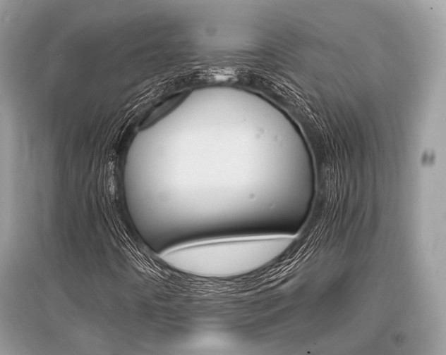 X0000096381442200801240952