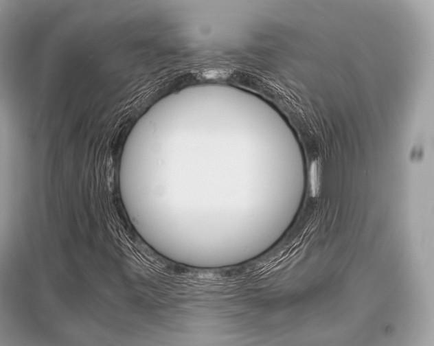X0000096381443200801240952
