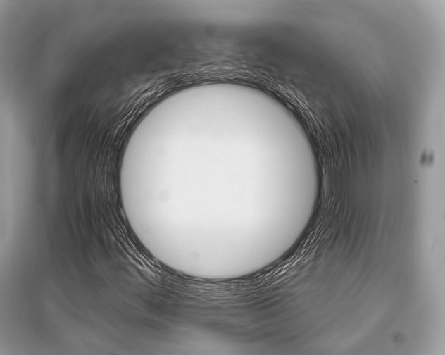 X0000096381444200801240952