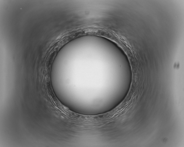 X0000096381445200801240952