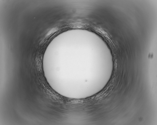 X0000096381446200801240952
