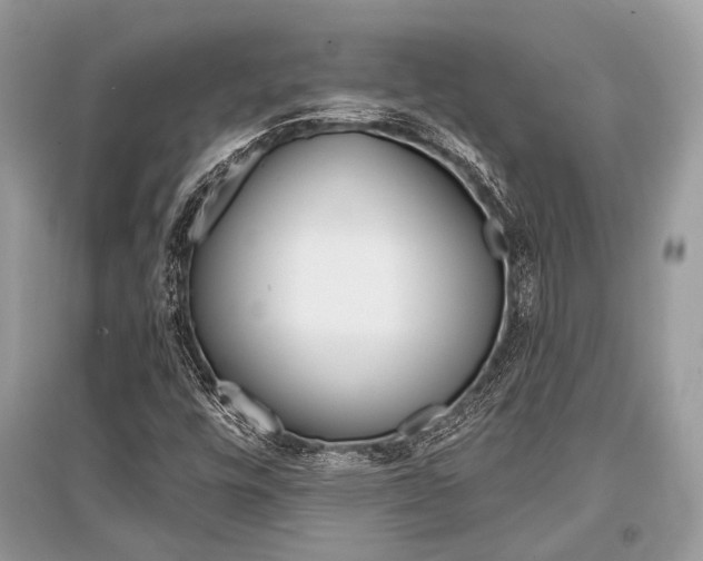 X0000096381448200801240952
