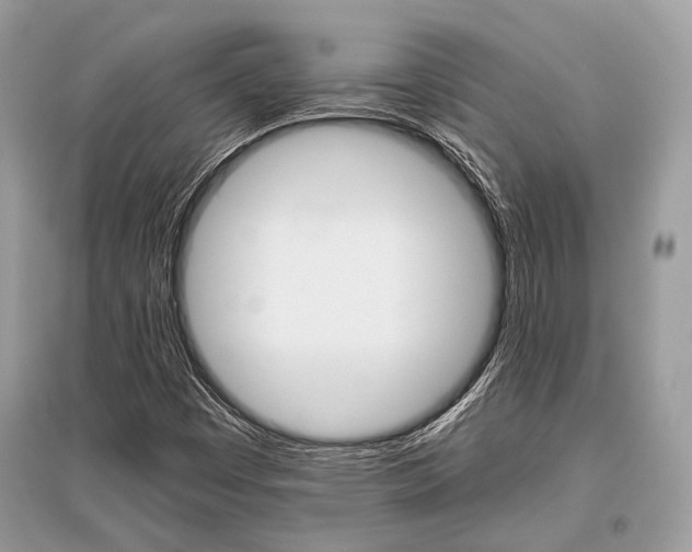 X0000096381449200801240951