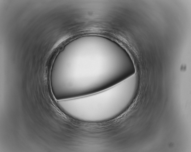 X0000096381450200801240951